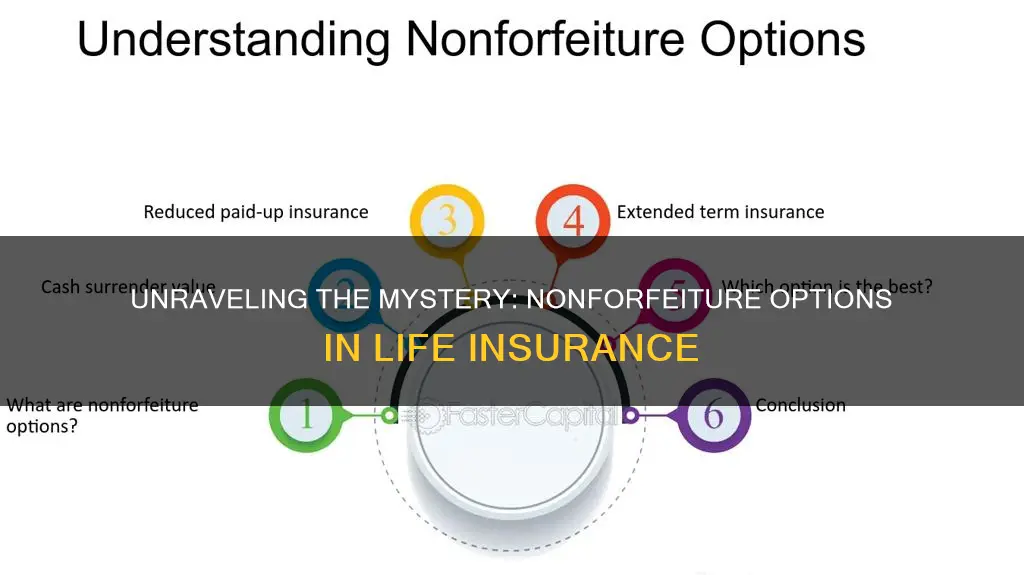 which of these is not common life insurance nonforfeiture option