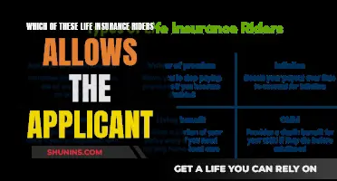 Life Insurance Riders: Applicant Flexibility and Customization