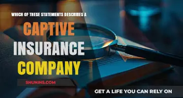 Understanding Captive Insurance: Key Traits and Benefits Explained