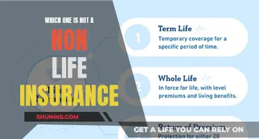 Understanding the Differences: Life Insurance vs. Non-Life Insurance