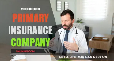 Identifying the Primary Insurance Company: A Comprehensive Guide for Consumers