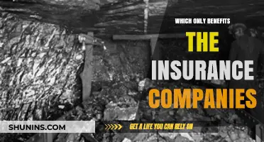 Insurance Policies: Profiting Corporations at Consumers' Expense – A Critical Analysis