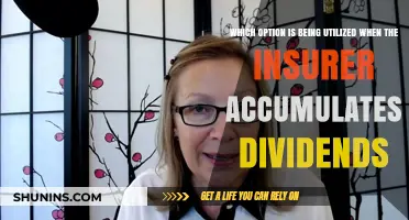 Accumulating Dividends: Understanding Insurer Options for Dividend Utilization
