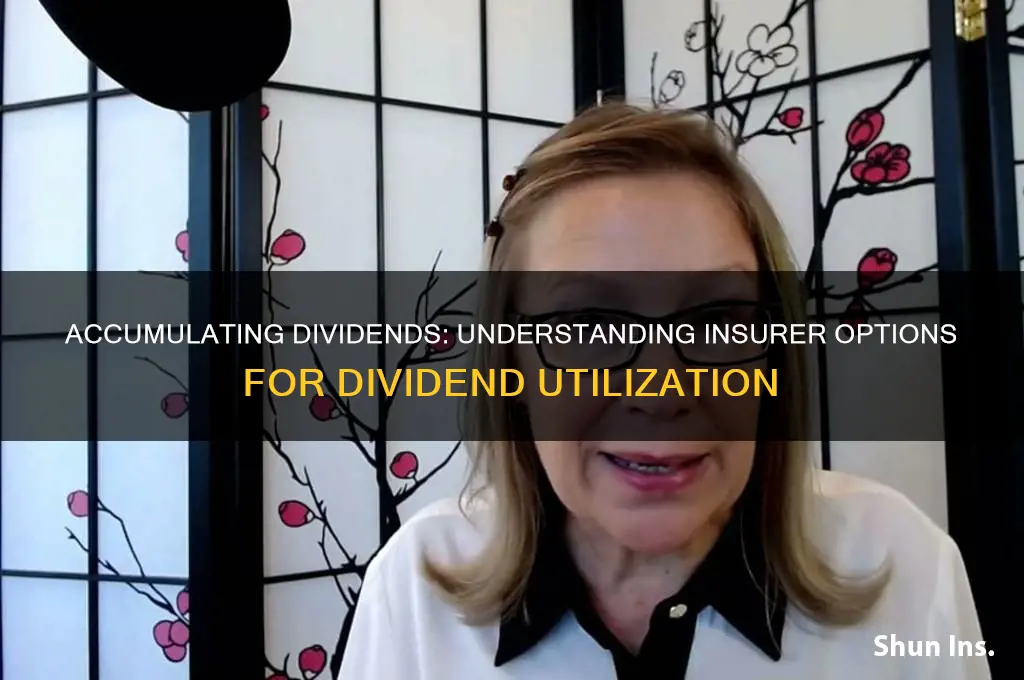 which option is being utilized when the insurer accumulates dividends