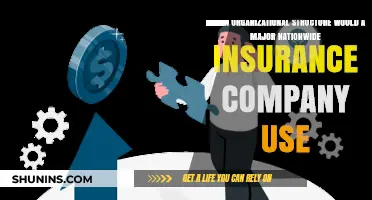 Nationwide Insurance Companies: Optimal Organizational Structures for Success and Efficiency