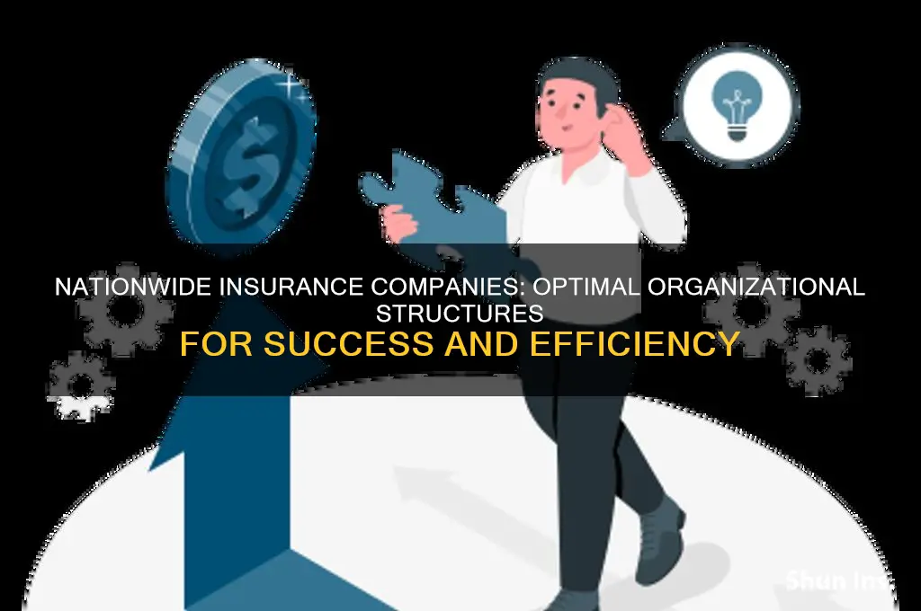 which organizational structure would a major nationwide insurance company use