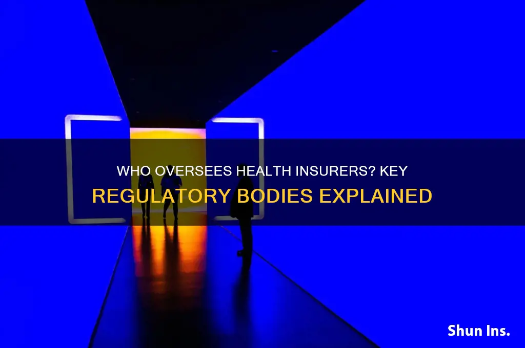 which oversight organization monitors health insurance companies