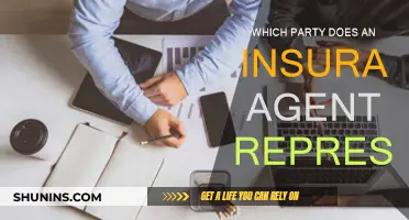 Who Does an Insurance Agent Truly Represent?
