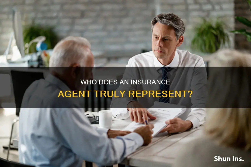 which party does an insurance agent represent