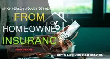 Homeowners Insurance: Who Needs It the Most?