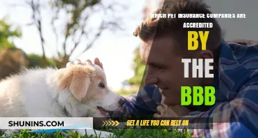 BBB-Accredited Pet Insurance Companies: A Comprehensive Guide for Pet Owners
