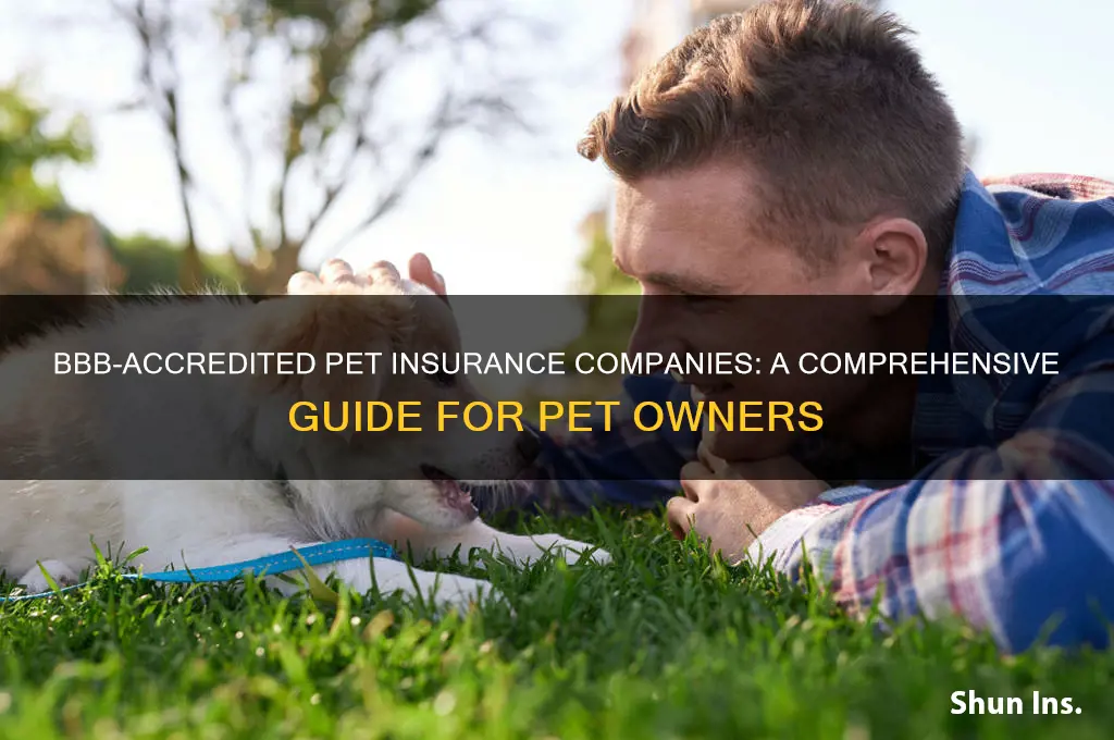 which pet insurance companies are accredited by the bbb