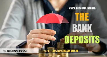 FDIC Insurance: Protecting Your Bank Deposits