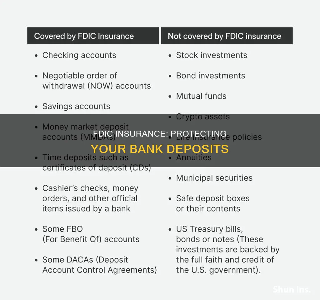 which program insured the bank deposits