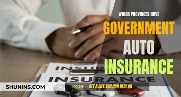 Auto Insurance: Provincial Government Plans and You