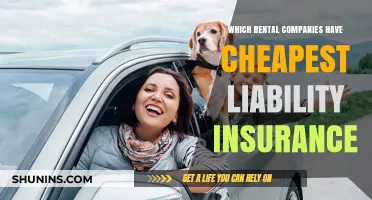 Affordable Liability Insurance: Top Rental Companies with Cheapest Rates