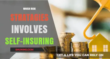 Risk Management: Self-Insuring Strategies for Businesses
