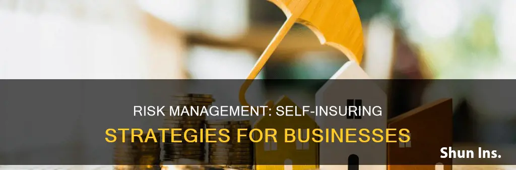 which risk stratagies involves self-insuring