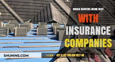 Top Roofers for Seamless Insurance Claims and Repairs