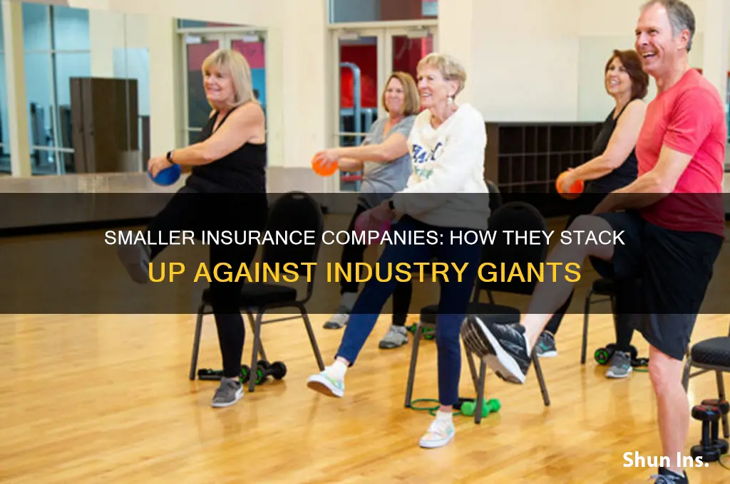 which smaller insurance companies compare to the big ones
