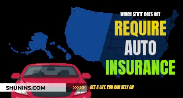 States Exempting Car Insurance