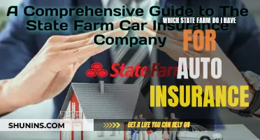 Finding the Right State Farm Auto Insurance for You