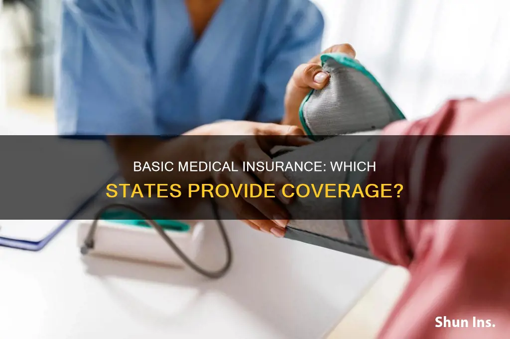 which state provide basic medical insurance