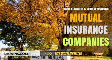 Mutual Insurance Companies: Understanding Ownership, Benefits, and Key Differences
