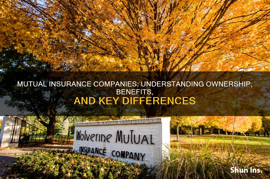 which statement is correct regarding mutual insurance companies