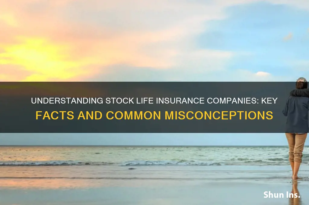 which statement is correct regarding stock life insurance companies