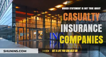 Debunking Myths: Casualty Insurance Companies and the False Statement