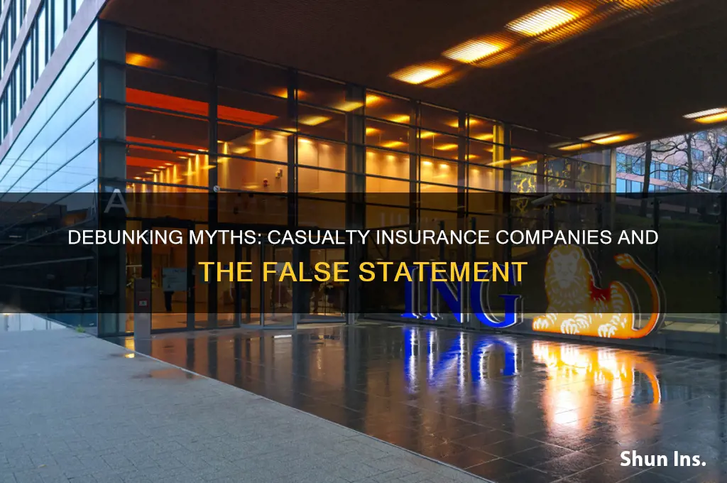 which statement is not true about casualty insurance companies