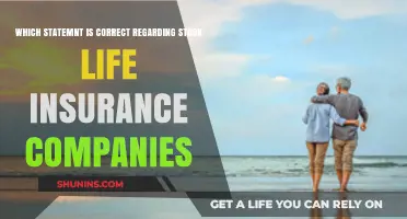 Understanding Stock Life Insurance Companies: Correct Statements Explained
