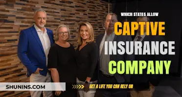 States Permitting Captive Insurance Companies: A Comprehensive Guide
