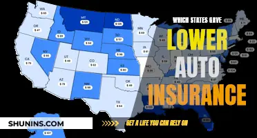 Lower Auto Insurance: Which States Offer the Best Rates?