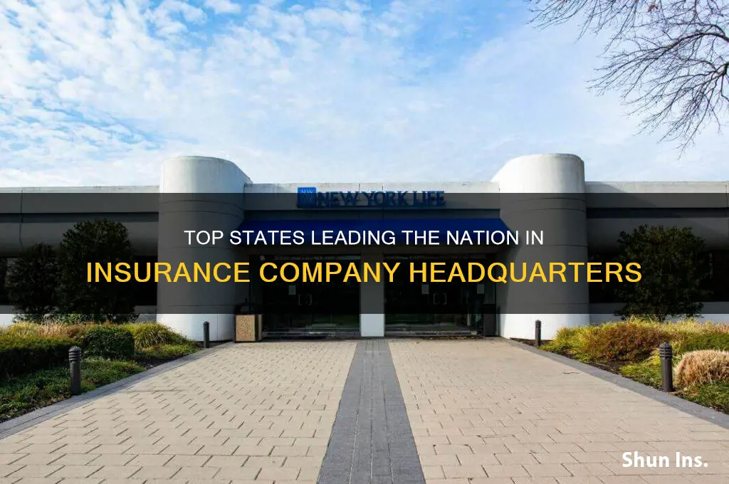 which states have the most insurance companies