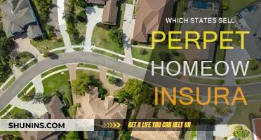 Perpetual Home Insurance: What States Offer This?