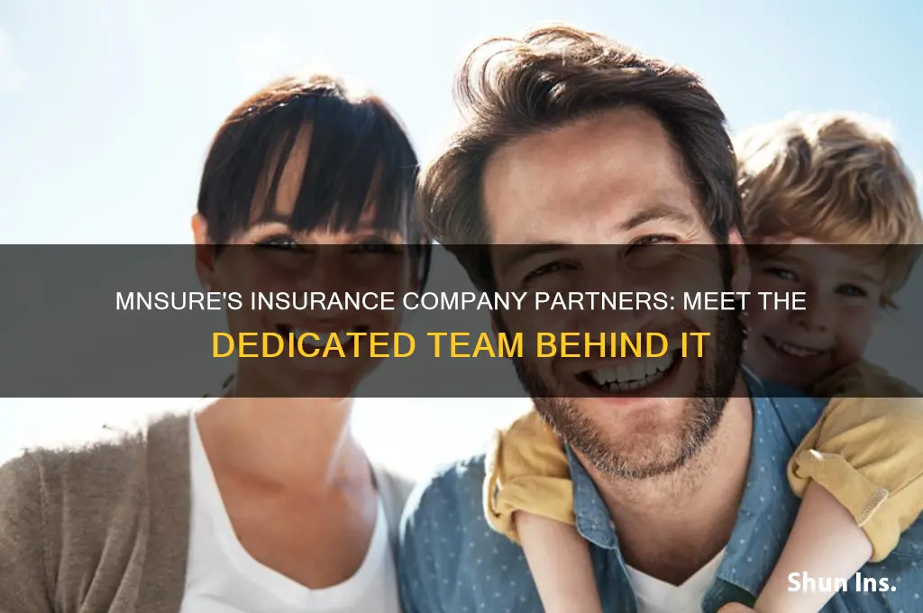 which team at mnsure works with insurance companies
