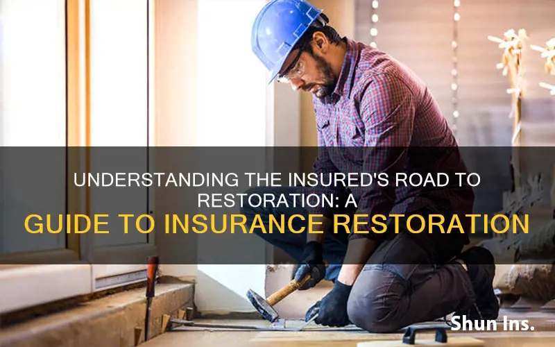 which term describes the restoration of the insured person