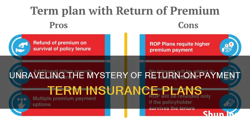 which term insurance give return payment