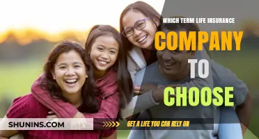 Choosing the Right Term Life Insurance Company: A Comprehensive Guide