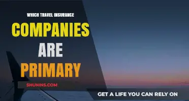 Primary Travel Insurance Providers: Top Companies for Comprehensive Coverage