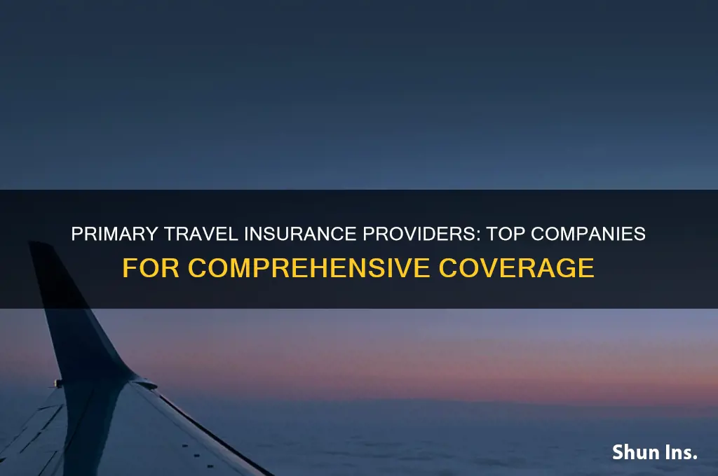 which travel insurance companies are primary