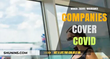Travel Insurance Providers Offering COVID-19 Coverage: A Comprehensive Guide