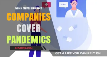Travel Insurance Providers Offering Pandemic Coverage: What You Need to Know