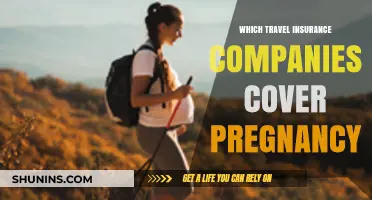 Pregnancy-Friendly Travel Insurance: Top Companies for Expecting Travelers
