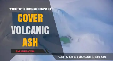 Travel Insurance Providers Offering Volcanic Ash Coverage: A Comprehensive Guide