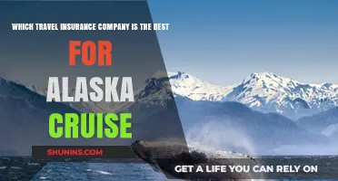 Top Alaska Cruise Travel Insurance: Best Companies for Your Voyage