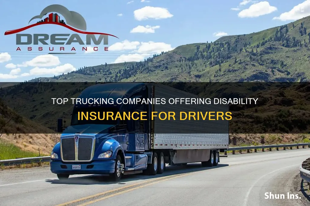 which trucking companies provide disability insurance for their drivers