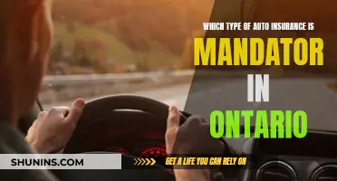 Auto Insurance in Ontario: What's Mandatory?